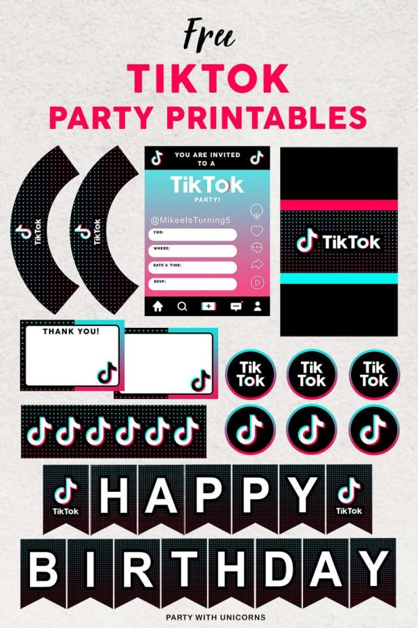 Festa Tik Tok Ideias Para A Rede Social Do Momento